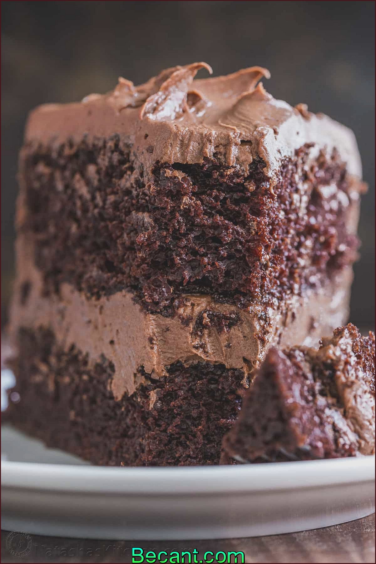 Tranche de gâteau au chocolat sur la plaque avec une fourchette 