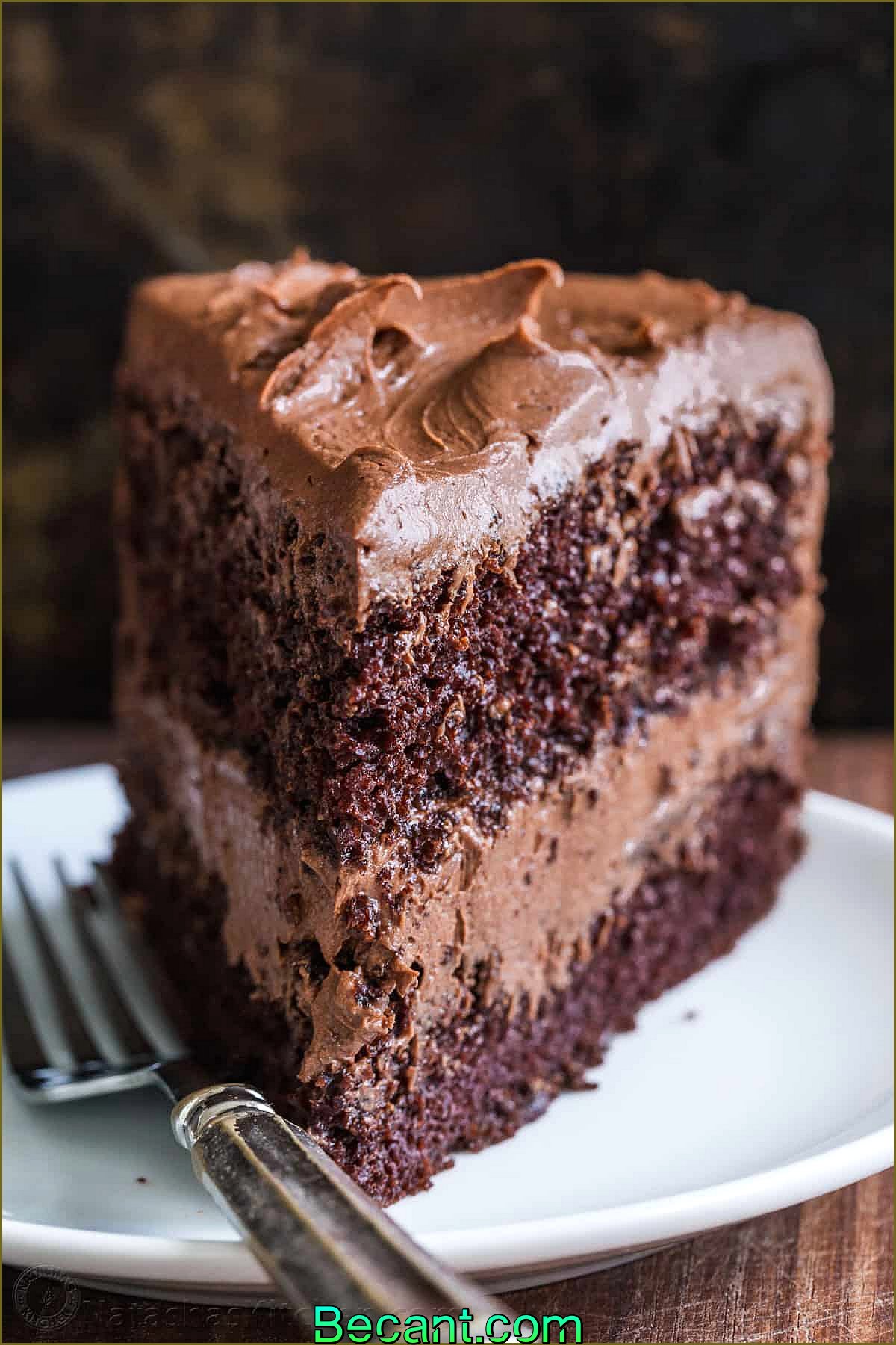Morceau de gâteau au chocolat fait maison sur une assiette avec une fourchette